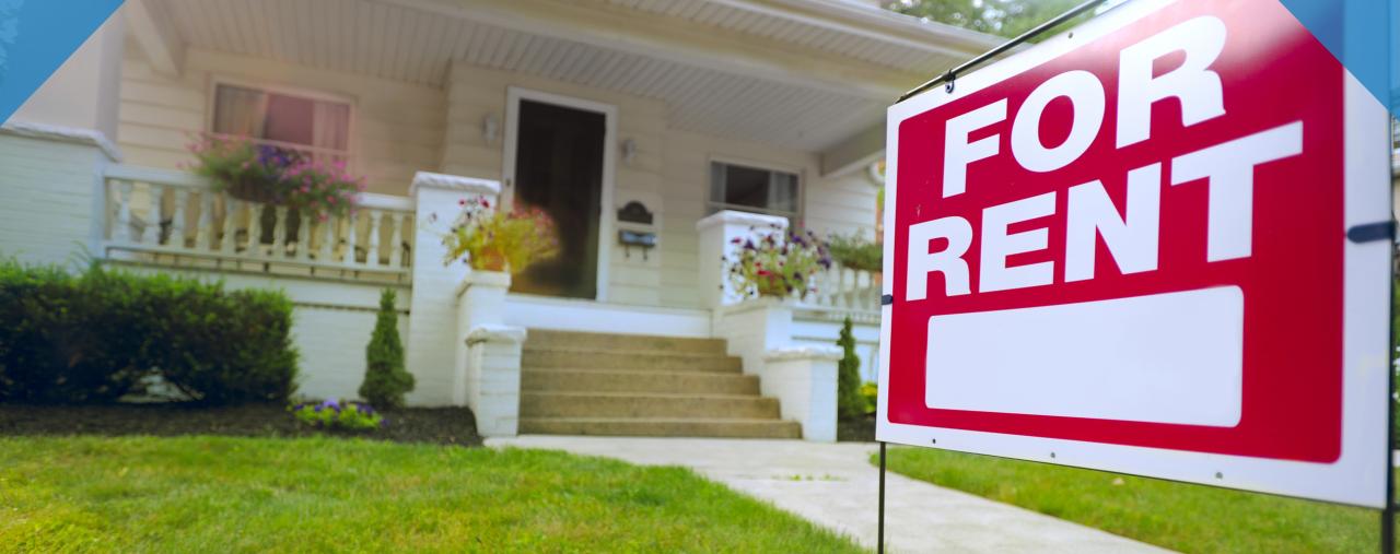 Insurance renters renter